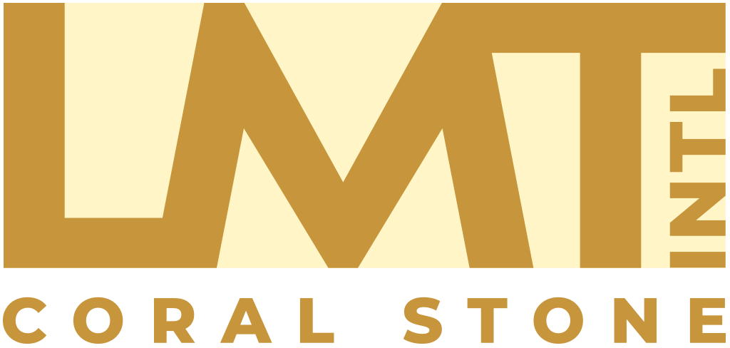LMT International Logo