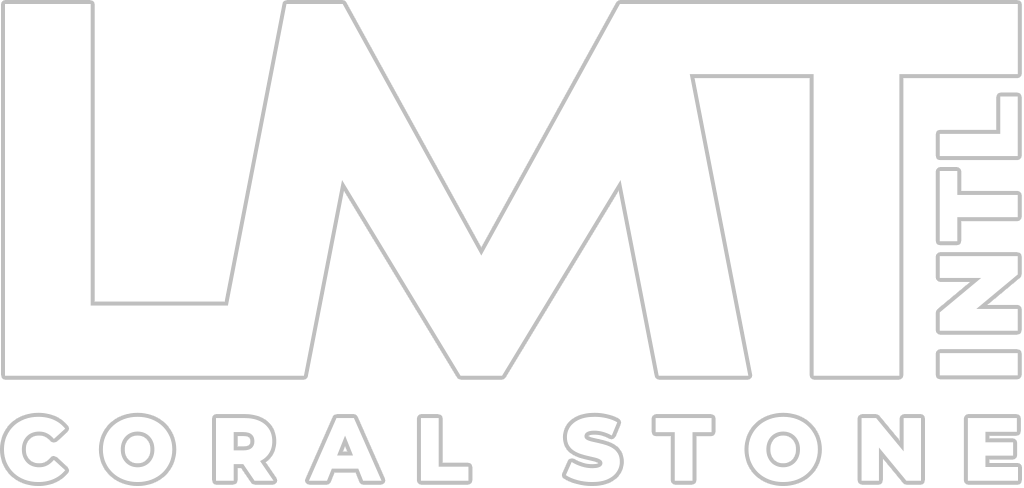 LMT International Logo (White)